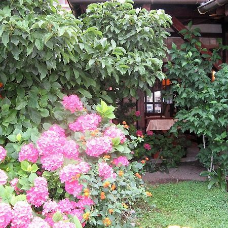 Guest House Zlatibor Budva Exterior foto