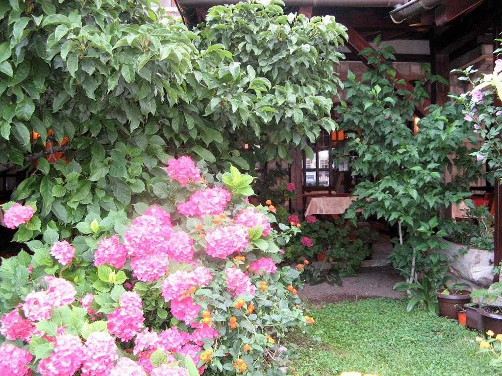 Guest House Zlatibor Budva Exterior foto
